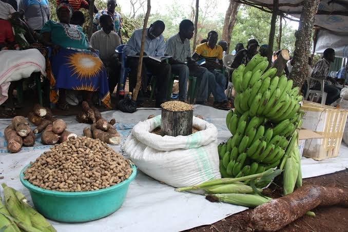 General Food Distribution (GFD)
